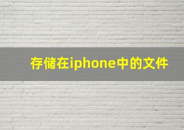 存储在iphone中的文件