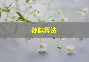 孙膑算法