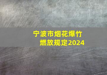 宁波市烟花爆竹燃放规定2024