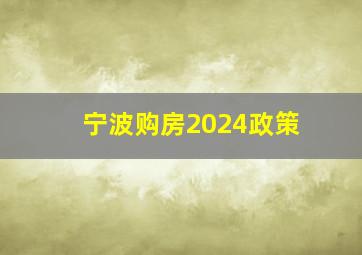 宁波购房2024政策