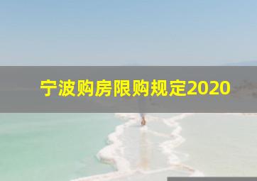 宁波购房限购规定2020