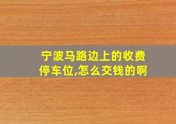 宁波马路边上的收费停车位,怎么交钱的啊