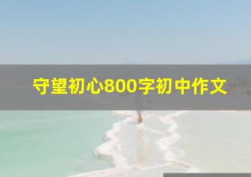 守望初心800字初中作文