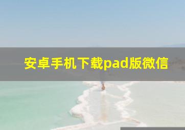 安卓手机下载pad版微信