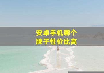 安卓手机哪个牌子性价比高