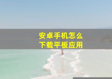 安卓手机怎么下载平板应用