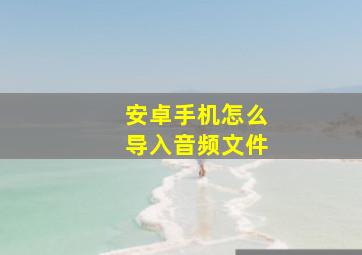 安卓手机怎么导入音频文件