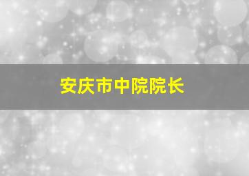 安庆市中院院长