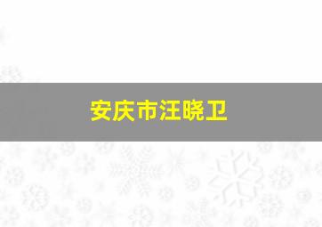 安庆市汪晓卫