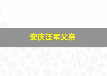 安庆汪军父亲