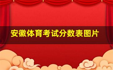 安徽体育考试分数表图片