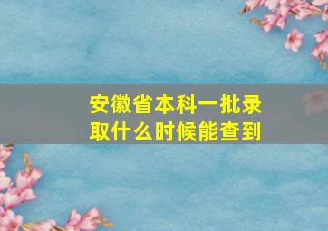 安徽省本科一批录取什么时候能查到