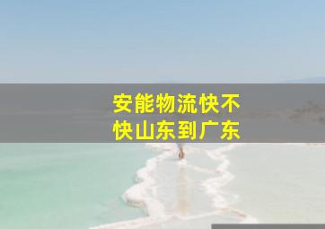 安能物流快不快山东到广东