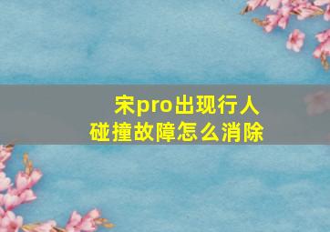 宋pro出现行人碰撞故障怎么消除