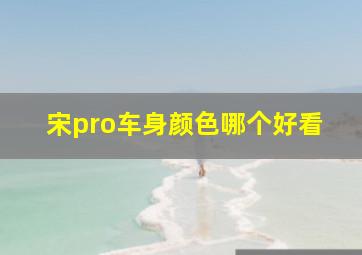 宋pro车身颜色哪个好看