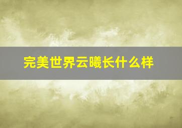 完美世界云曦长什么样