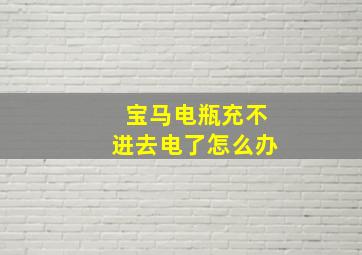 宝马电瓶充不进去电了怎么办