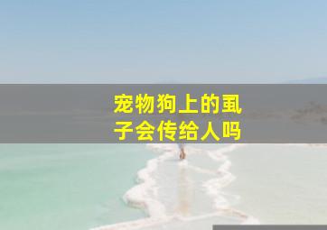 宠物狗上的虱子会传给人吗