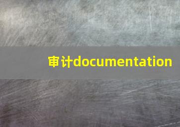 审计documentation