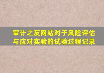 审计之友网站对于风险评估与应对实验的试验过程记录