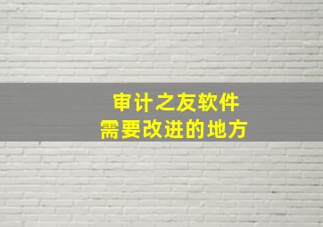 审计之友软件需要改进的地方