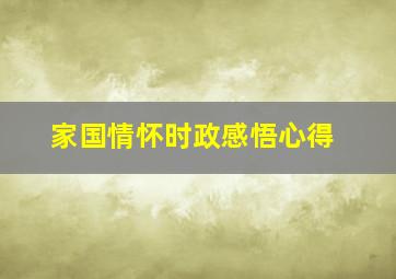 家国情怀时政感悟心得