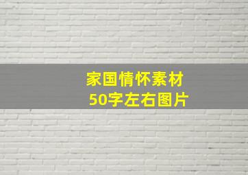 家国情怀素材50字左右图片