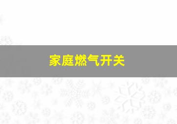 家庭燃气开关