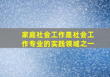 家庭社会工作是社会工作专业的实践领域之一