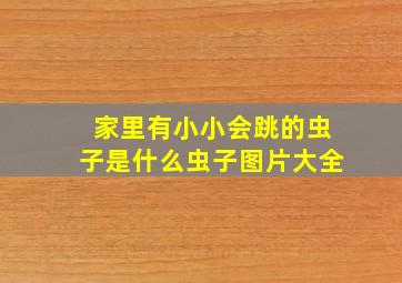 家里有小小会跳的虫子是什么虫子图片大全