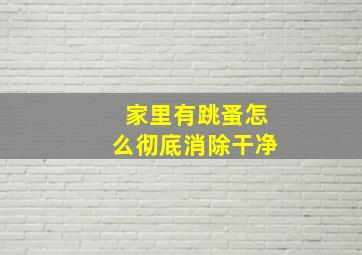 家里有跳蚤怎么彻底消除干净