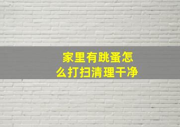 家里有跳蚤怎么打扫清理干净