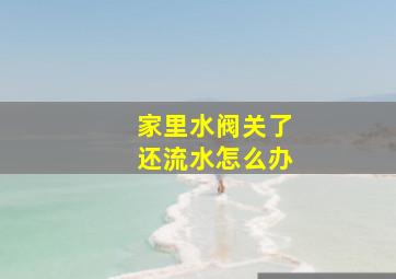 家里水阀关了还流水怎么办