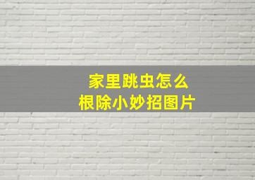 家里跳虫怎么根除小妙招图片