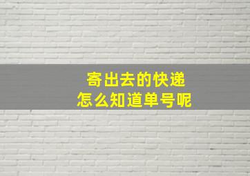 寄出去的快递怎么知道单号呢