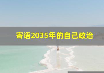 寄语2035年的自己政治