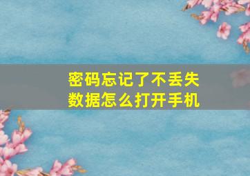 密码忘记了不丢失数据怎么打开手机