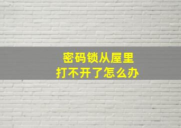 密码锁从屋里打不开了怎么办