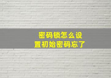 密码锁怎么设置初始密码忘了