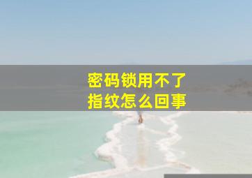 密码锁用不了指纹怎么回事