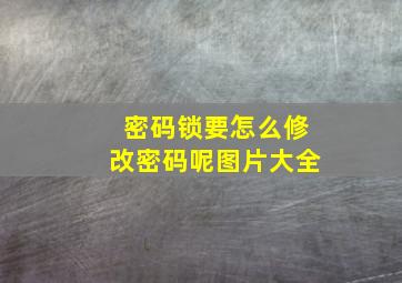 密码锁要怎么修改密码呢图片大全