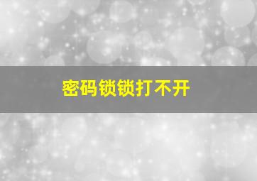 密码锁锁打不开