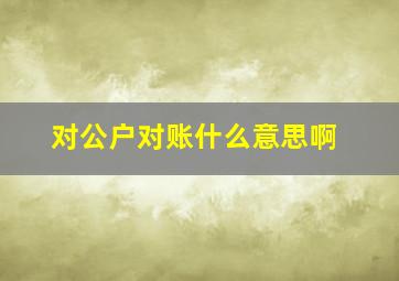 对公户对账什么意思啊