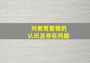 对教育整顿的认识及存在问题