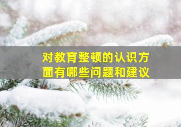 对教育整顿的认识方面有哪些问题和建议