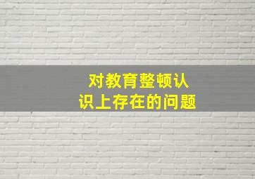 对教育整顿认识上存在的问题