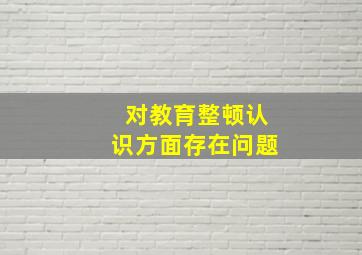 对教育整顿认识方面存在问题