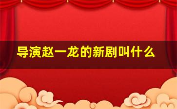 导演赵一龙的新剧叫什么