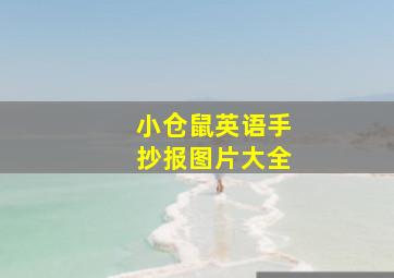 小仓鼠英语手抄报图片大全