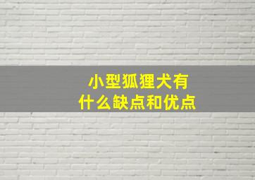 小型狐狸犬有什么缺点和优点